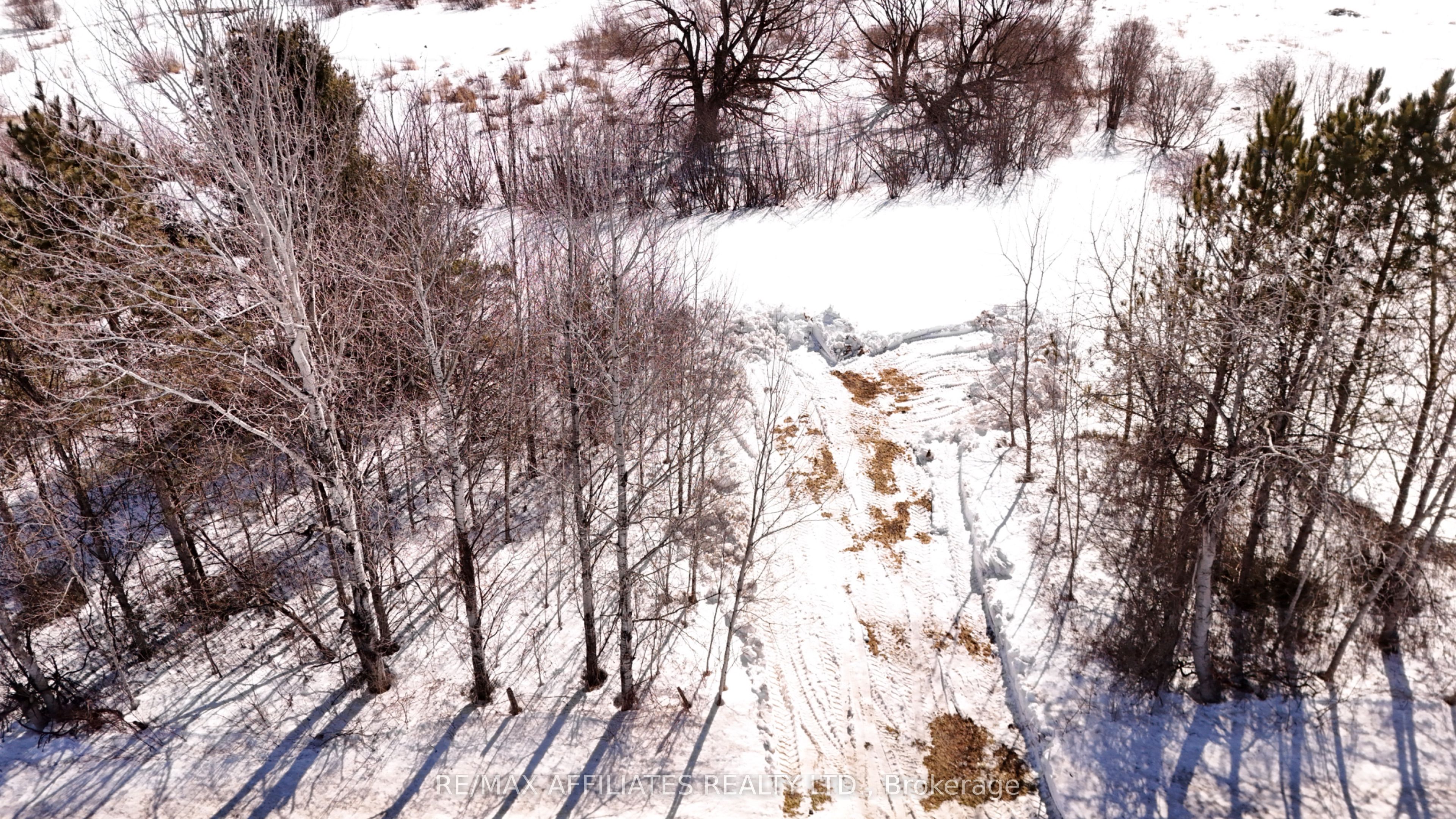 1403 Pittston Road Property Photo 14