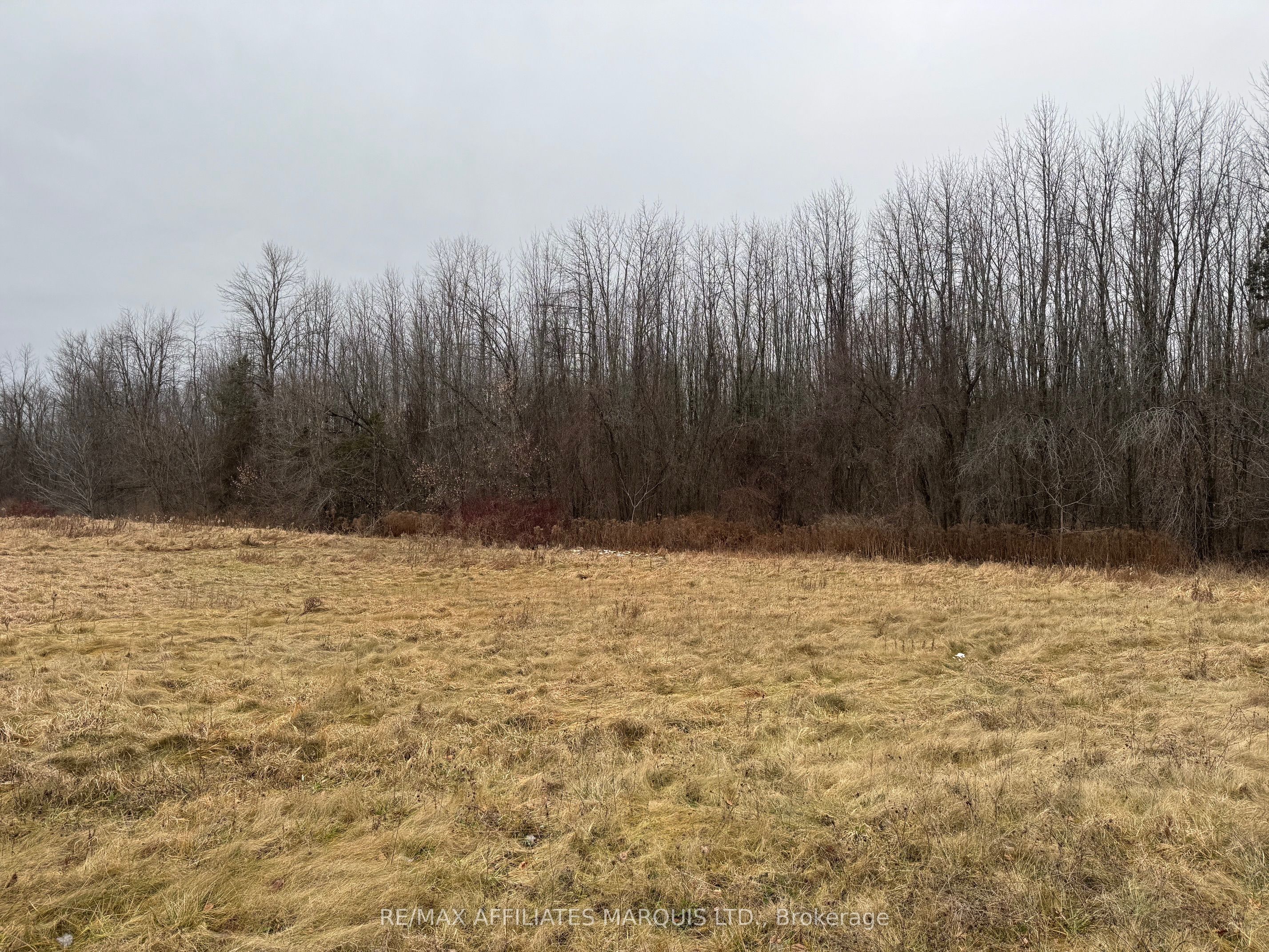 Lot Carman Road Property Photo 5