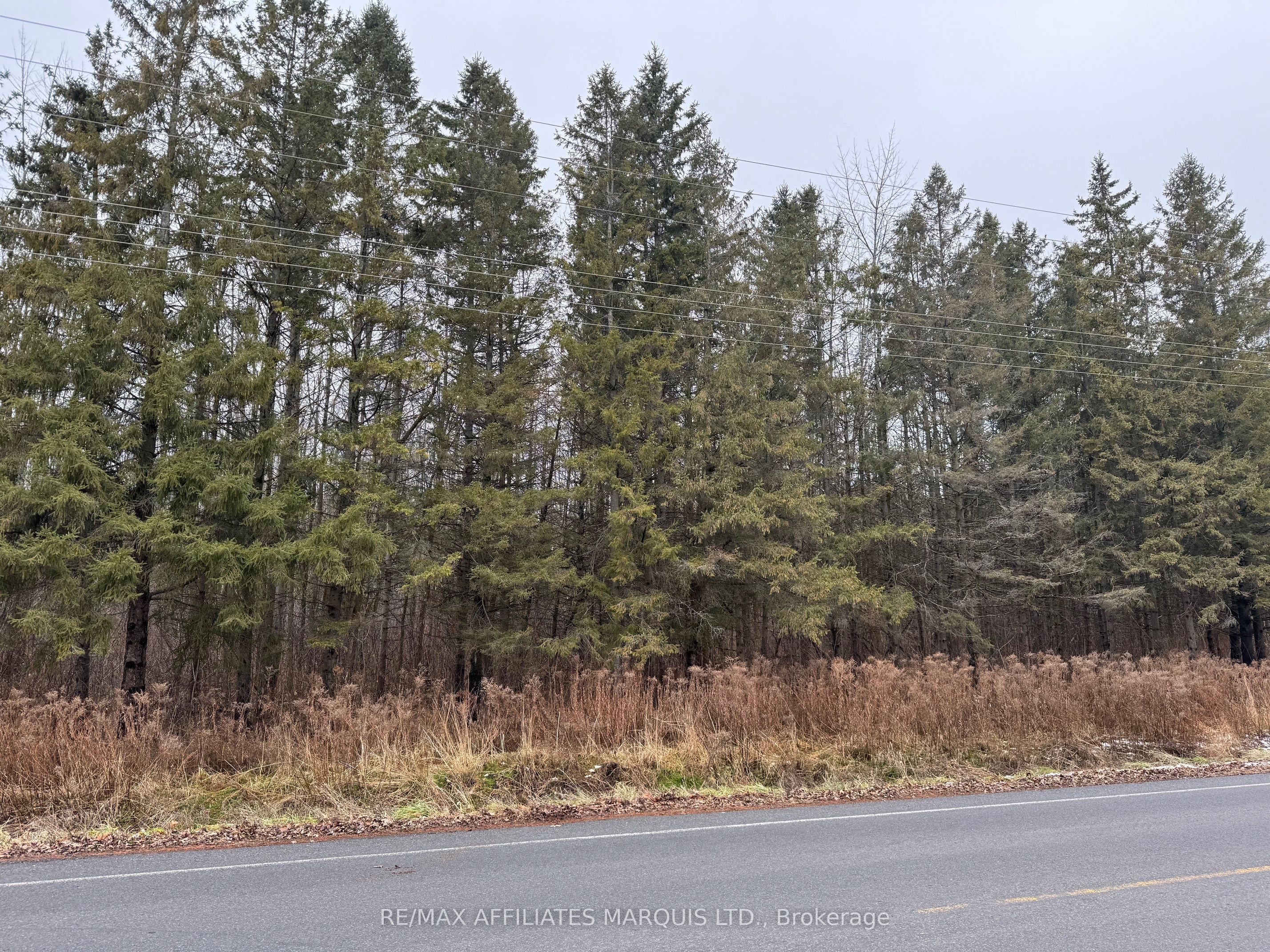 Lot Carman Road Property Photo 6