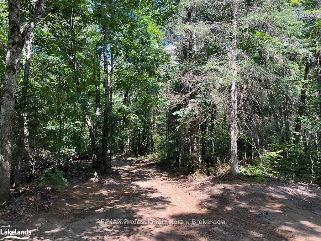 304 Old North Road Property Photo 12