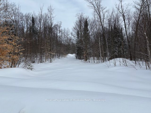 59 Summer Leigh Trail Property Photo 4