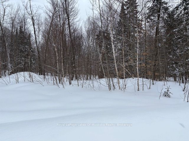 59 Summer Leigh Trail Property Photo 5