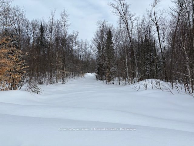 59 Summer Leigh Trail Property Photo 6