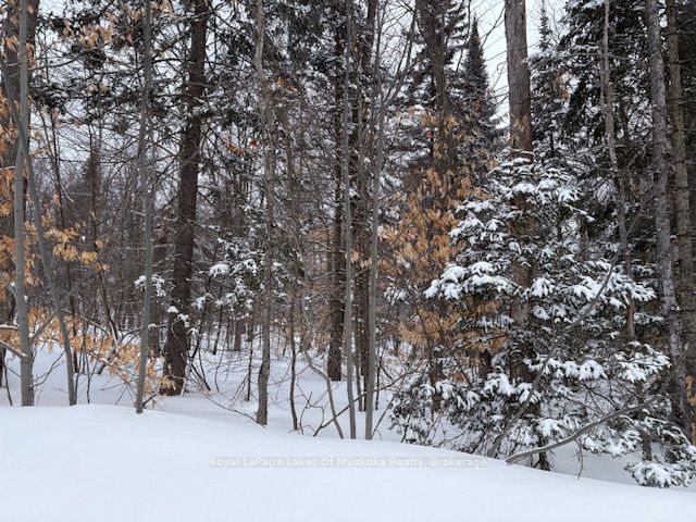 59 Summer Leigh Trail Property Photo 8