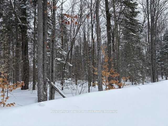 1788 Old Muskoka Road Property Photo 1