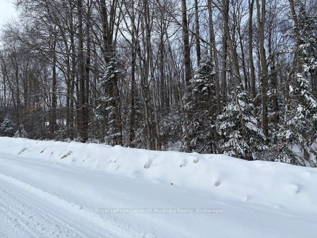 1788 Old Muskoka Road Property Photo 3