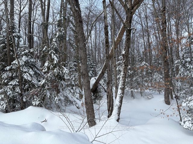 1788 Old Muskoka Road Property Photo 4