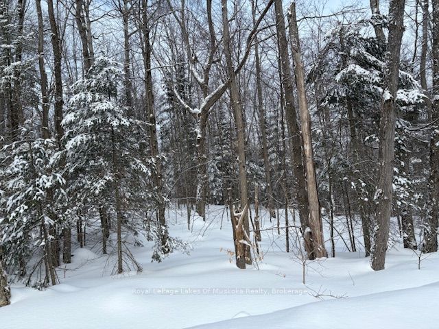 1788 Old Muskoka Road Property Photo 5