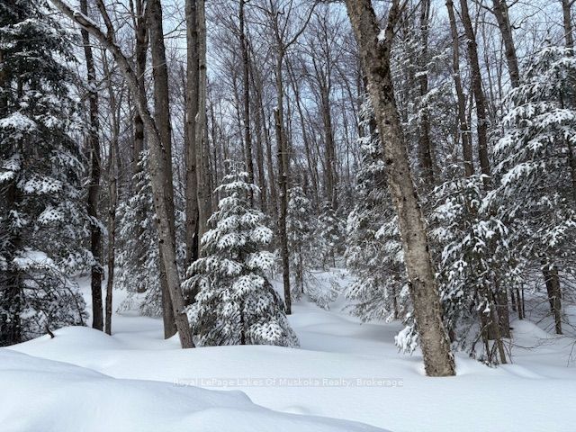 1788 Old Muskoka Road Property Photo 6