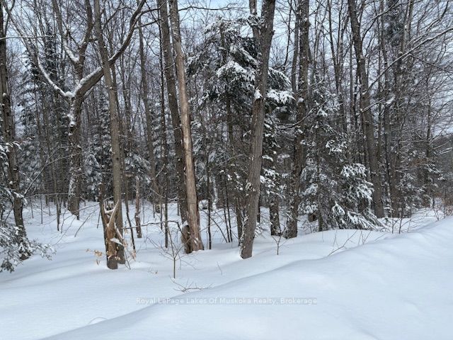 1788 Old Muskoka Road Property Photo 7