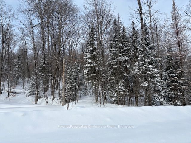1788 Old Muskoka Road Property Photo 10