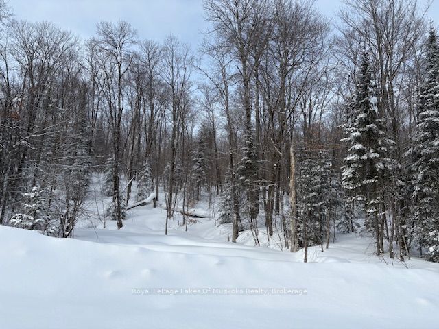 1788 Old Muskoka Road Property Photo 11