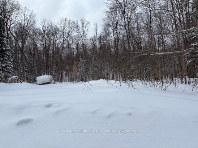 48 Summer Leigh Trail Property Photo 4