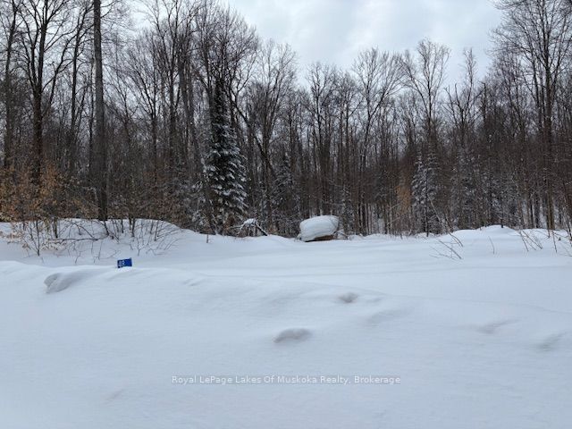 48 Summer Leigh Trail Property Photo 5
