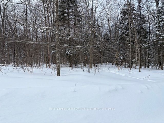48 Summer Leigh Trail Property Photo 7