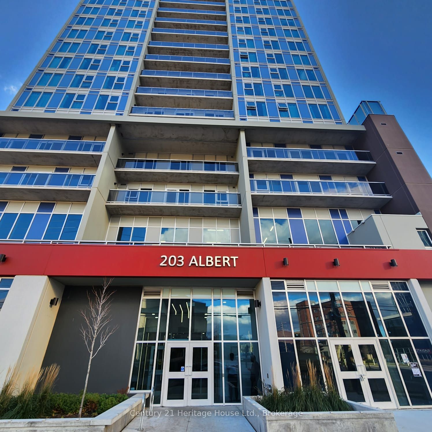 #2 - 203 Albert Street Property Photo 3