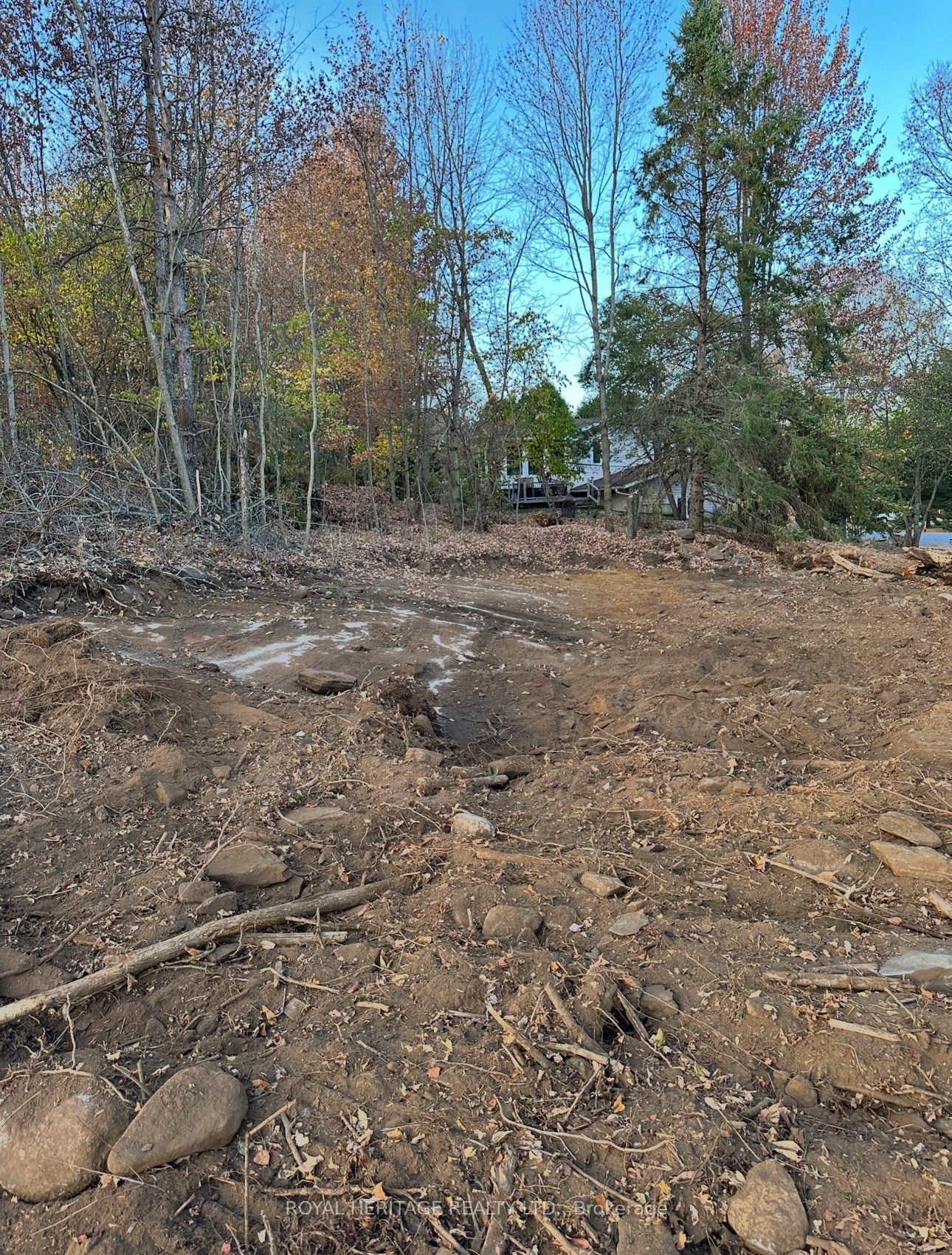 61 Marluc Avenue Property Photo 8
