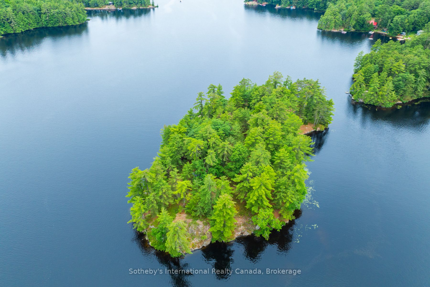 16lk-1 Wolf Island N/a Property Photo 45