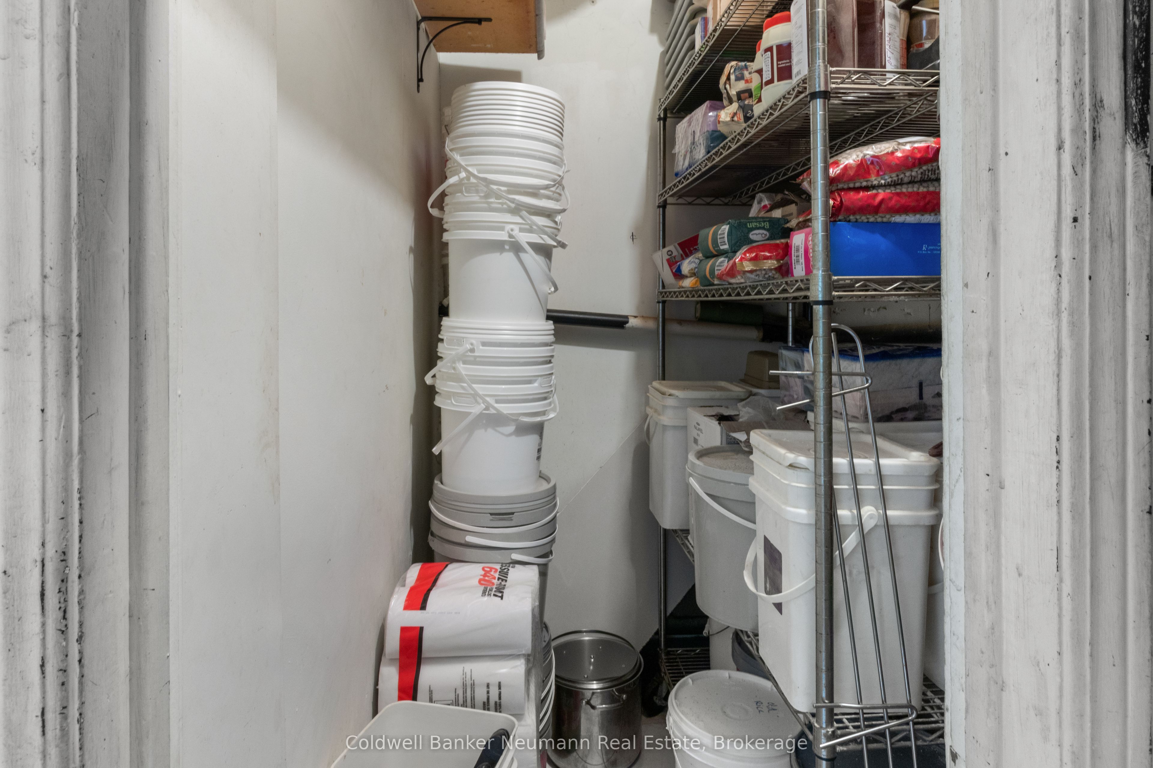 75 Macdonell Street Property Photo 14