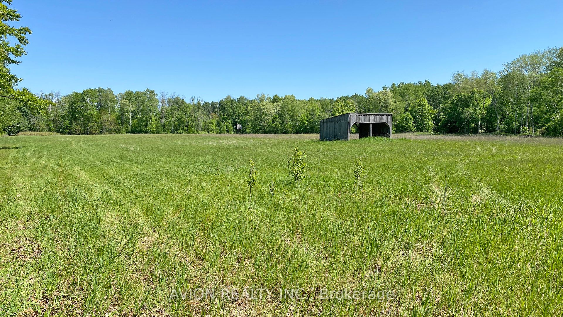 1229 Regional Rd 19 Road Property Photo 24
