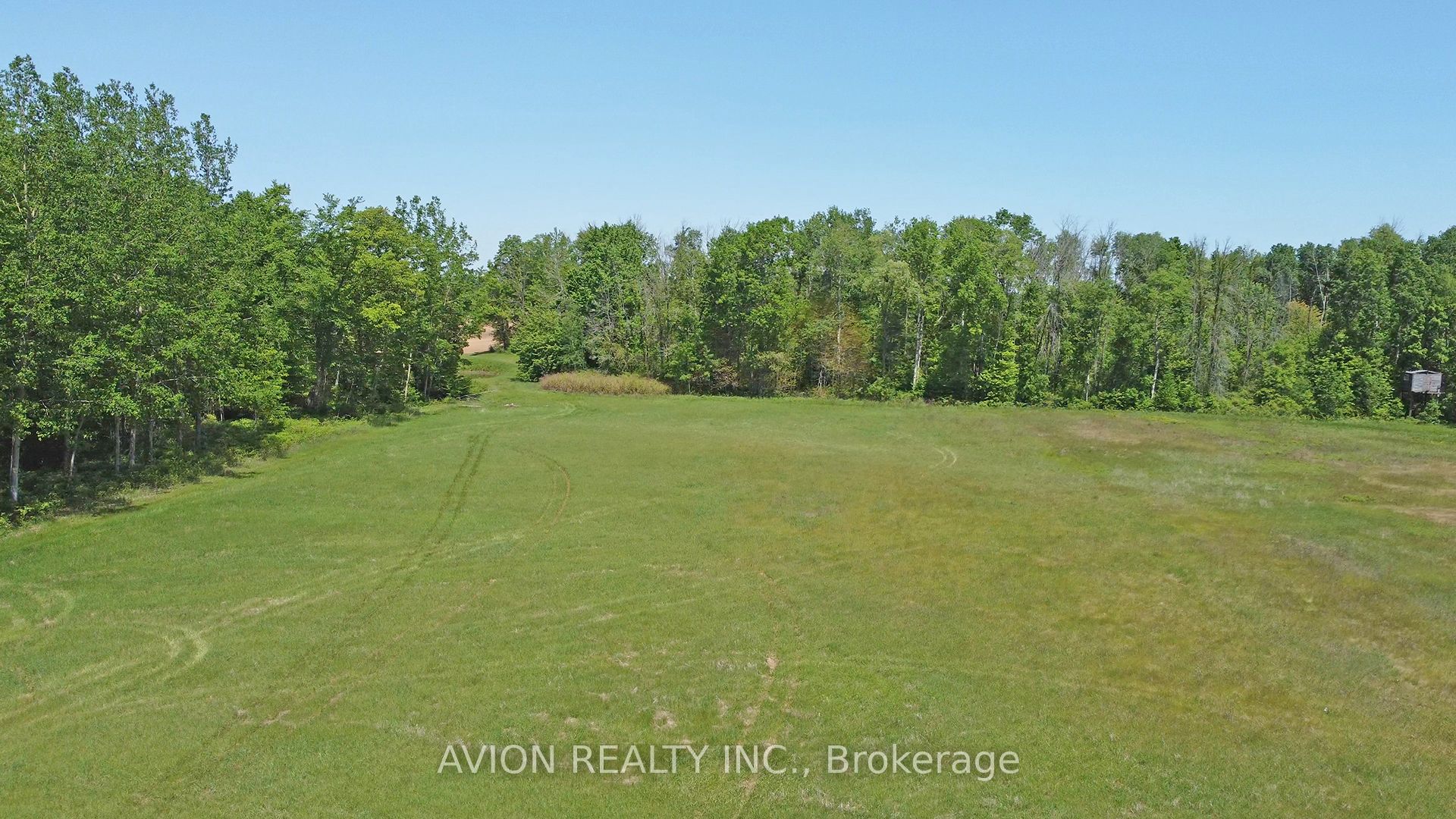 1229 Regional Rd 19 Road Property Photo 27