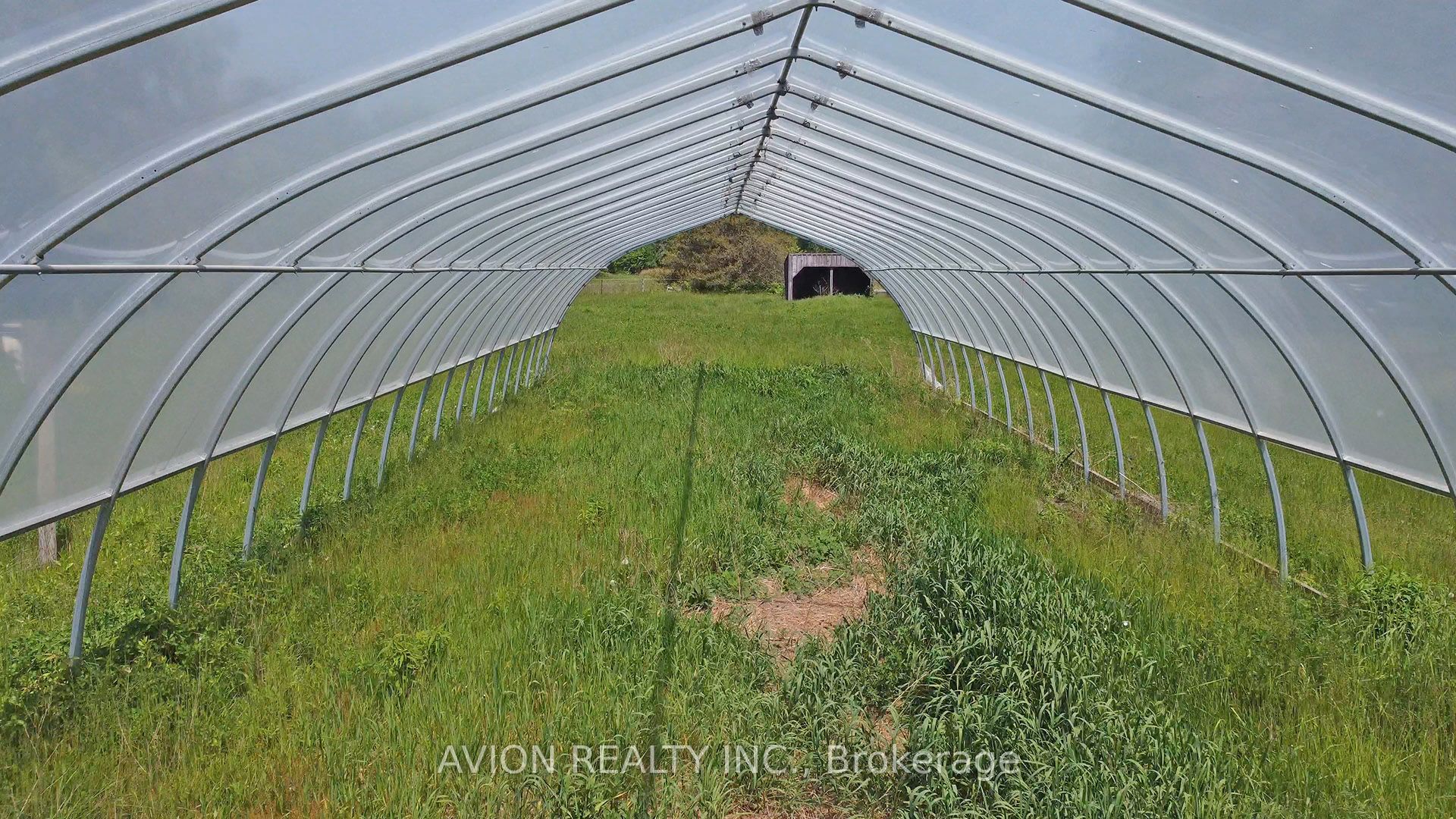 1229 Regional Rd 19 Road Property Photo 28