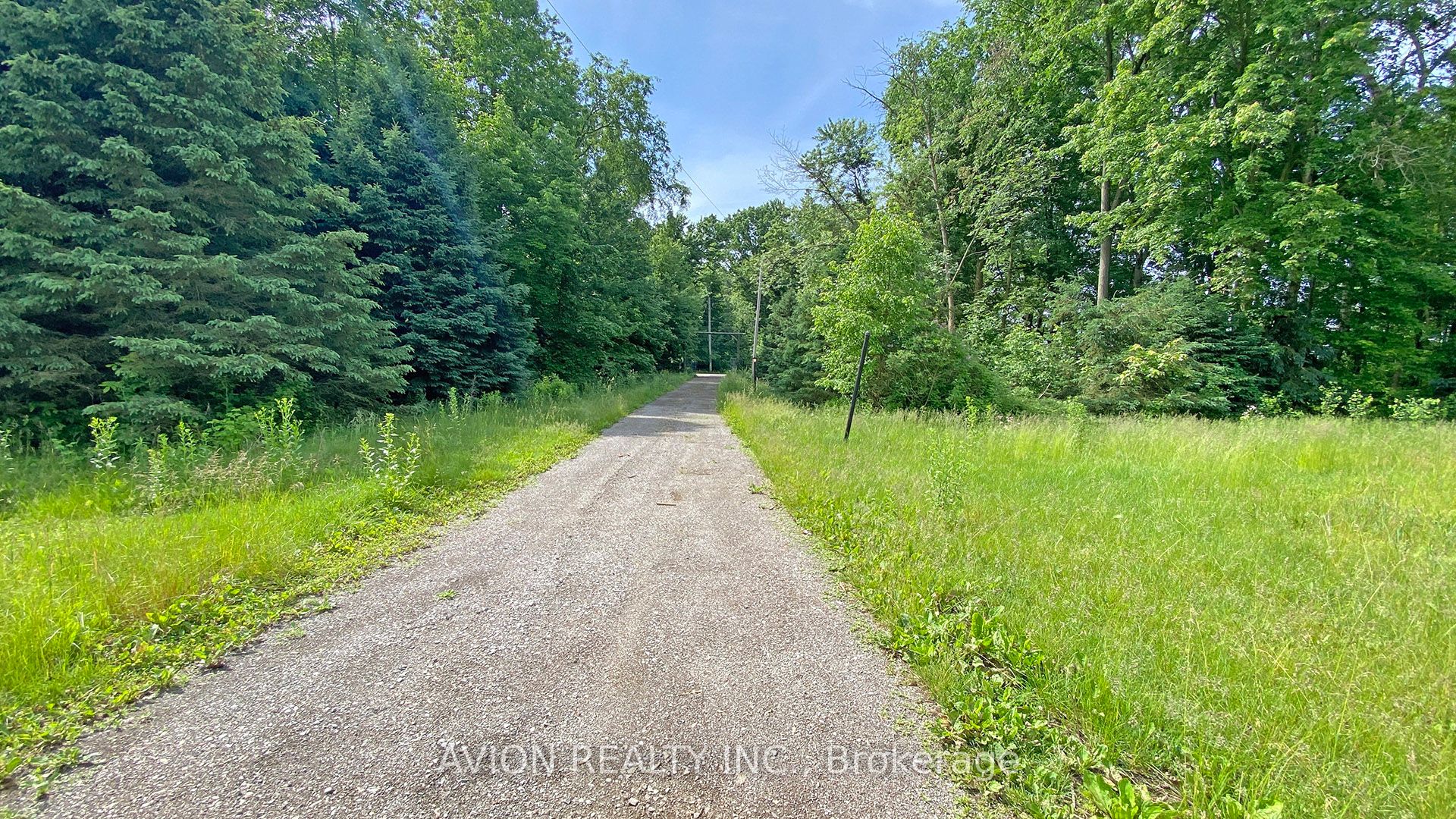 1229 Regional Rd 19 Road Property Photo 29