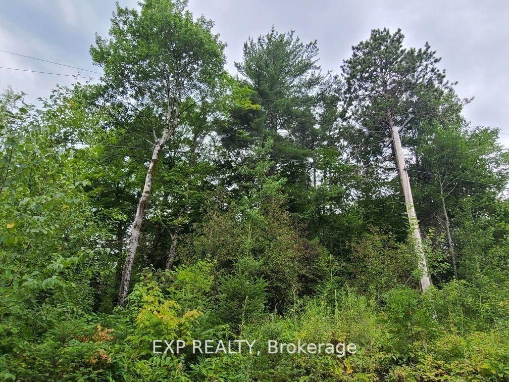 20 Peplinski Homestead Rd Property Photo