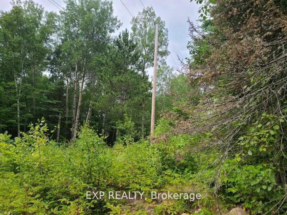 20 Peplinski Homestead Rd Property Photo 3