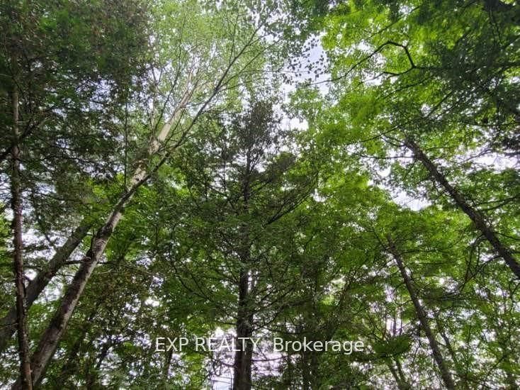 20 Peplinski Homestead Rd Property Photo 4