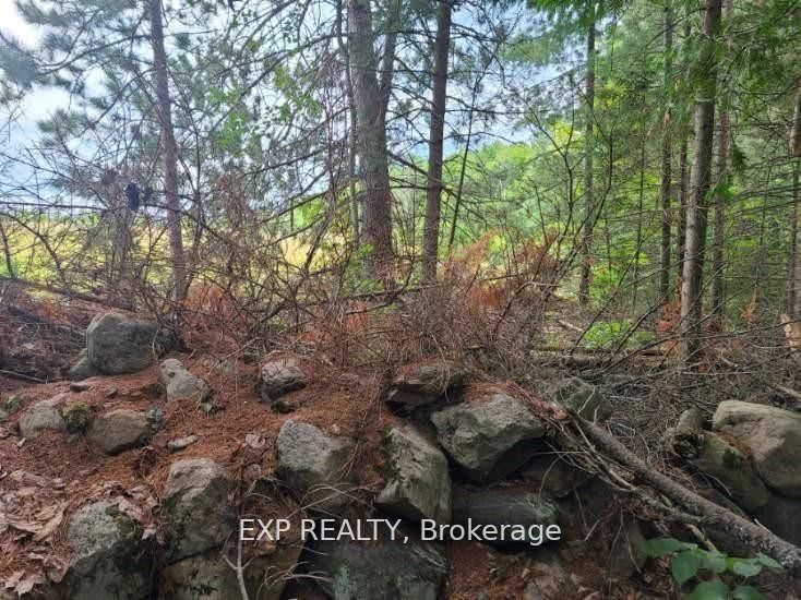 20 Peplinski Homestead Rd Property Photo 7