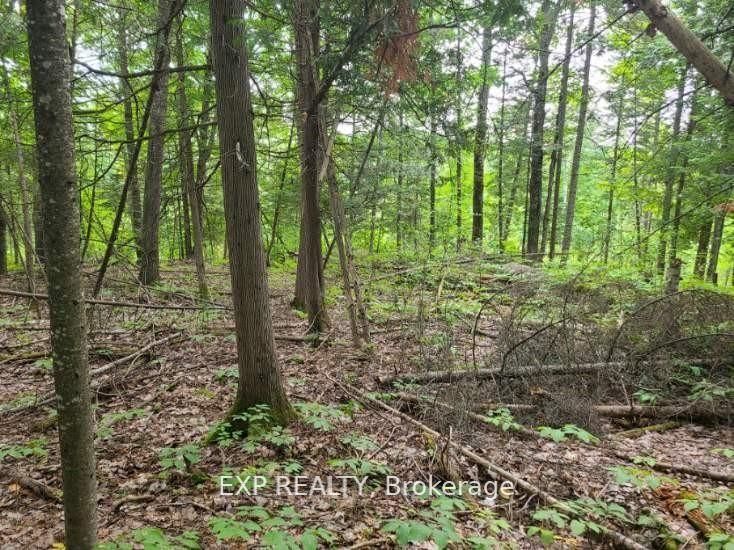 20 Peplinski Homestead Rd Property Photo 9