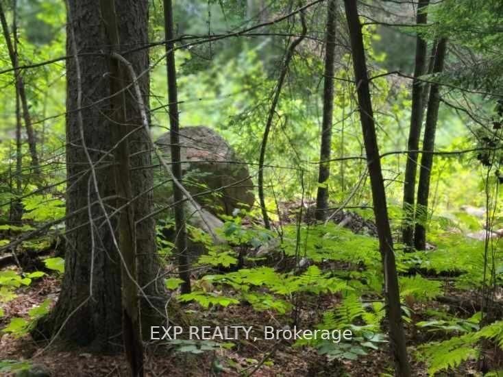 20 Peplinski Homestead Rd Property Photo 10