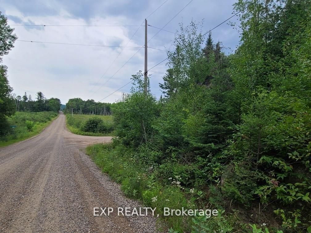 20 Peplinski Homestead Rd Property Photo 14