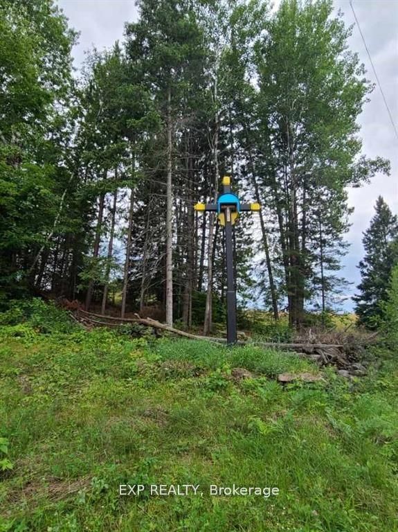 20 Peplinski Homestead Rd Property Photo 17