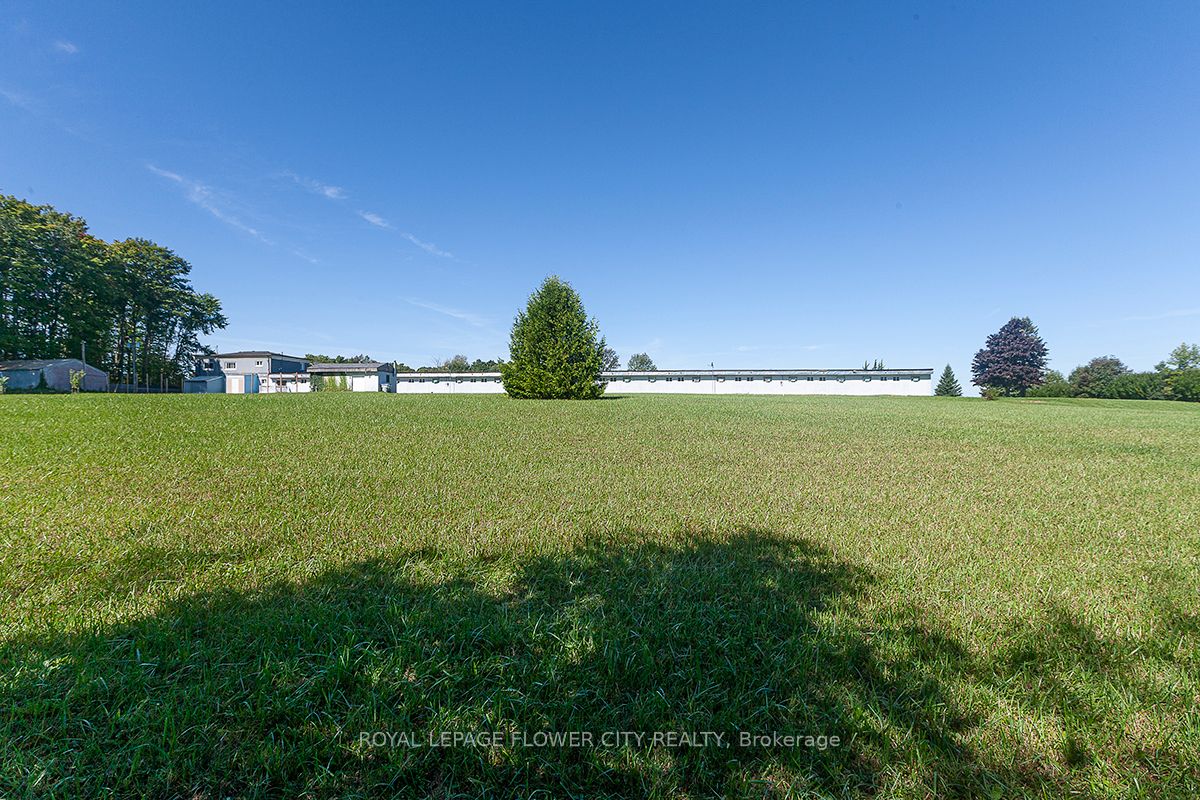 9151 Road 164 (hwy 23) Road Property Photo 37