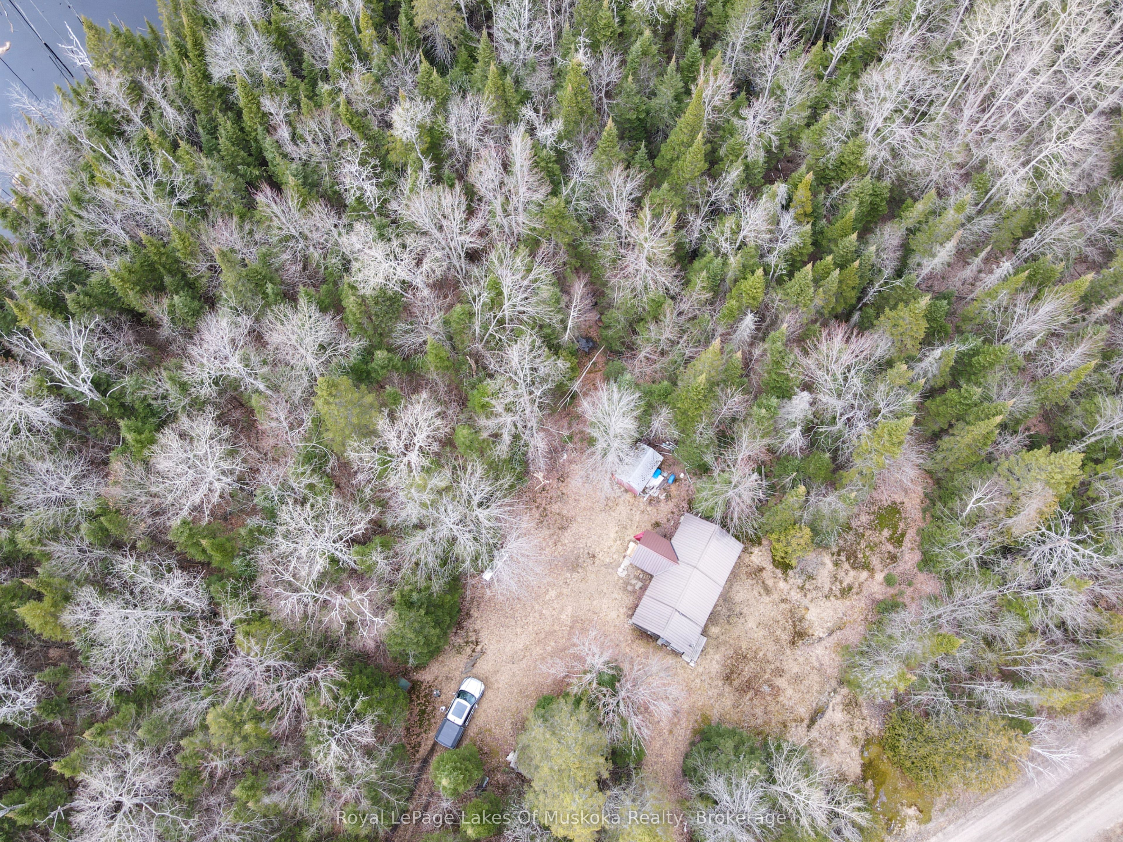 1238 Star Lake Road Property Photo 3