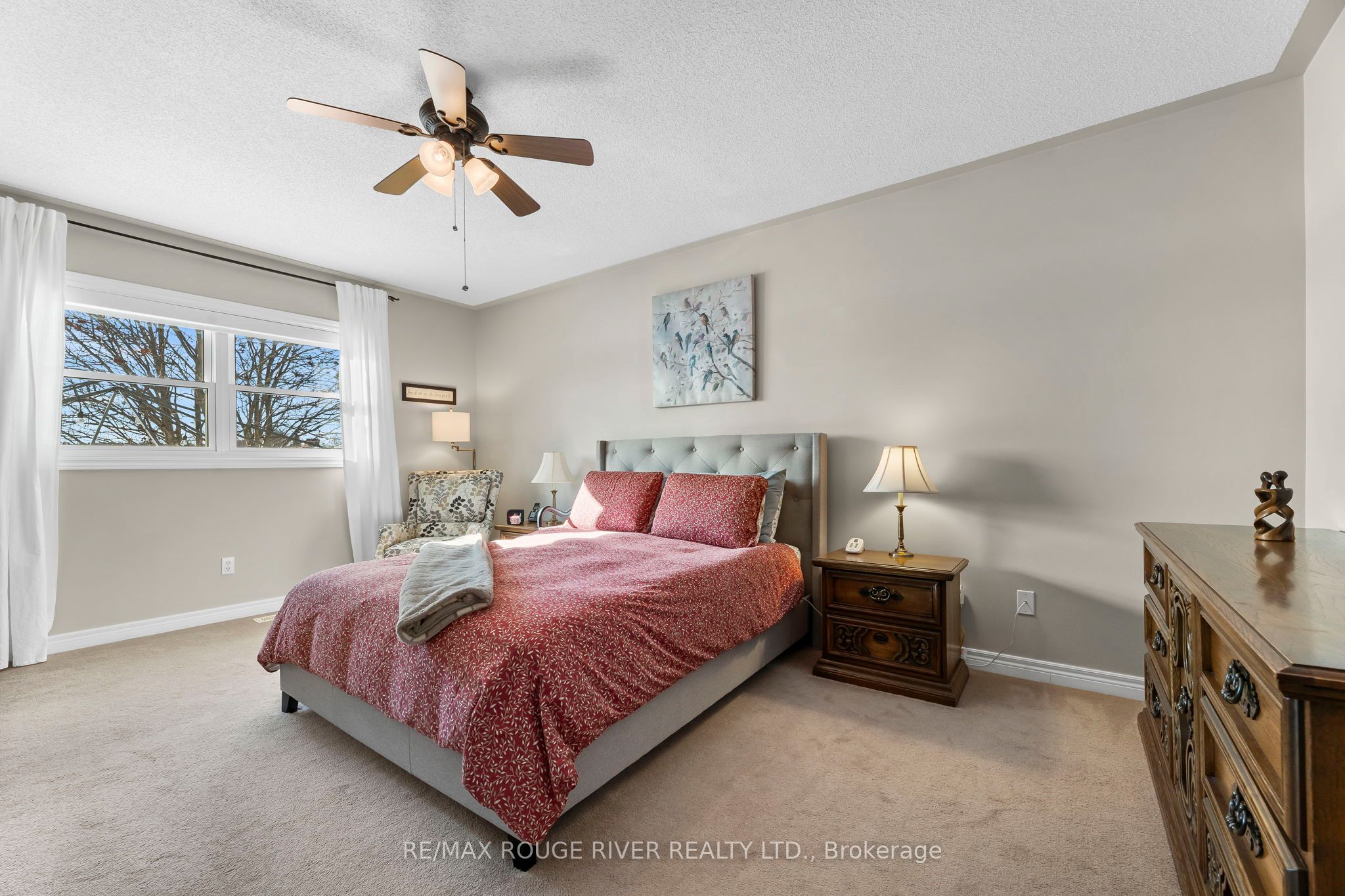 38 Jeffries Street Property Photo 16