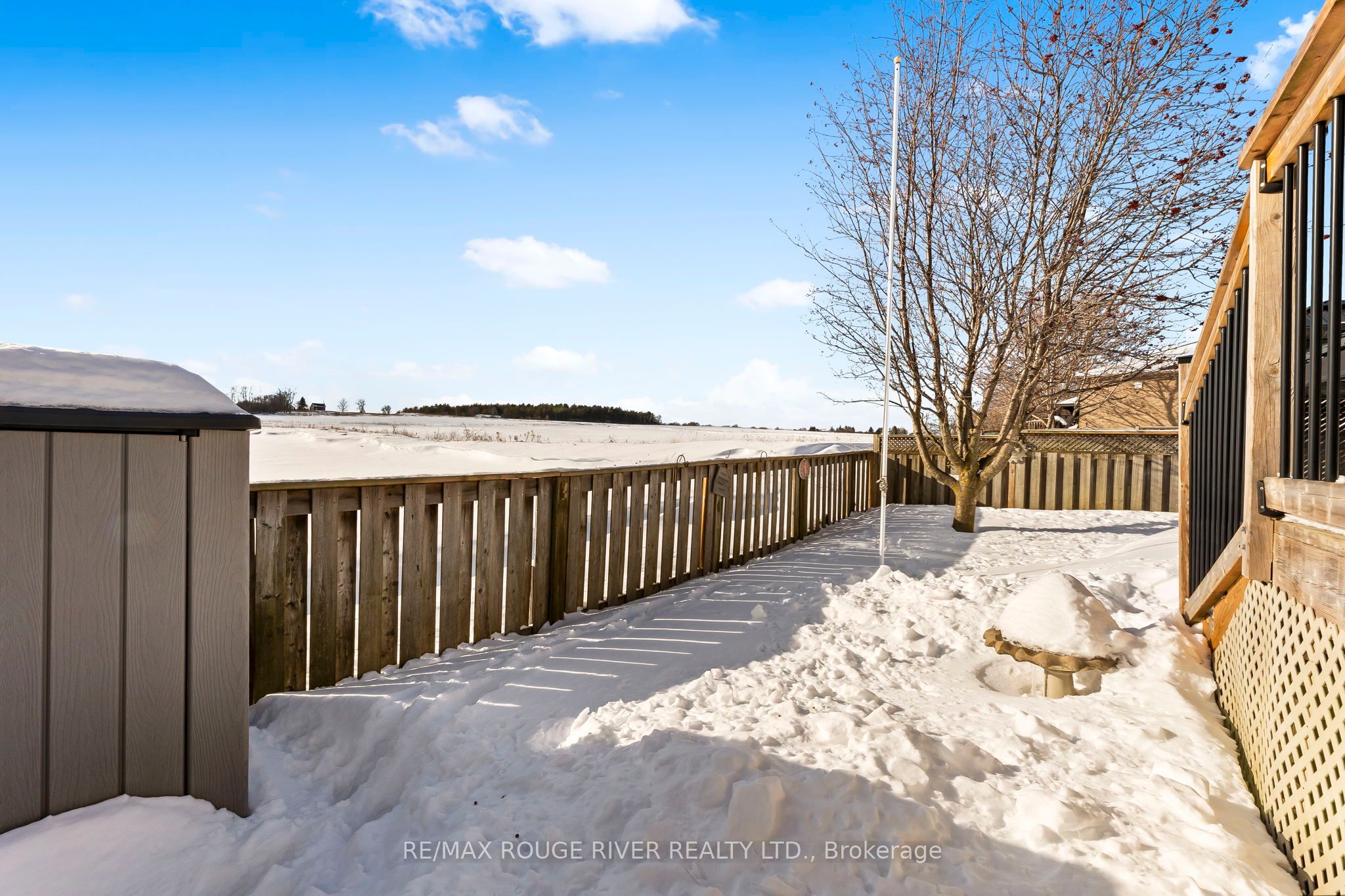 38 Jeffries Street Property Photo 29