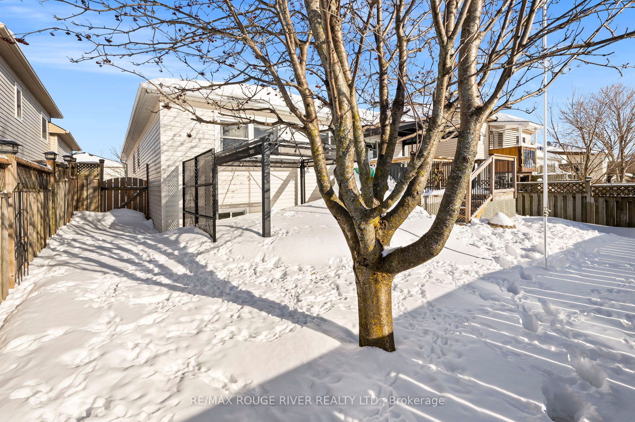 38 Jeffries Street Property Photo 31