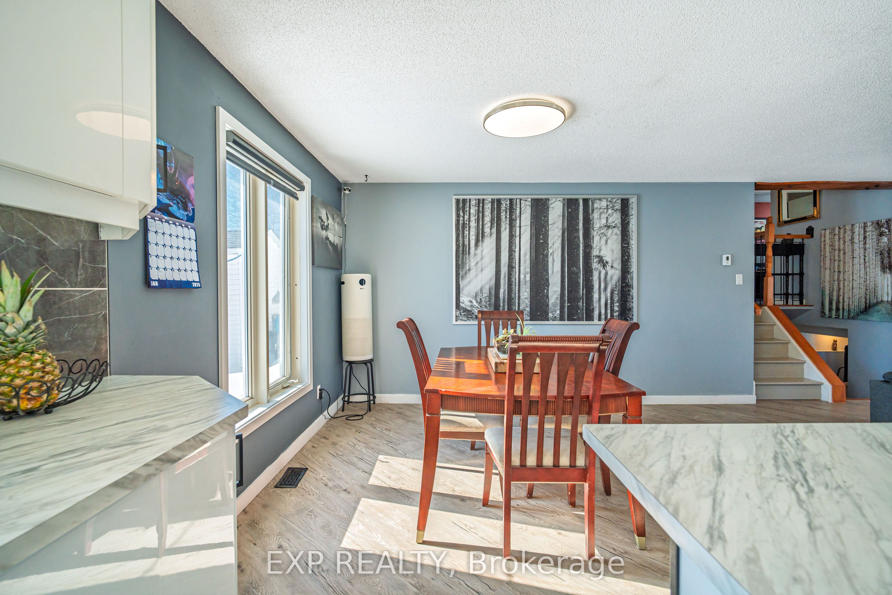 107 Dolores Street Property Photo 15