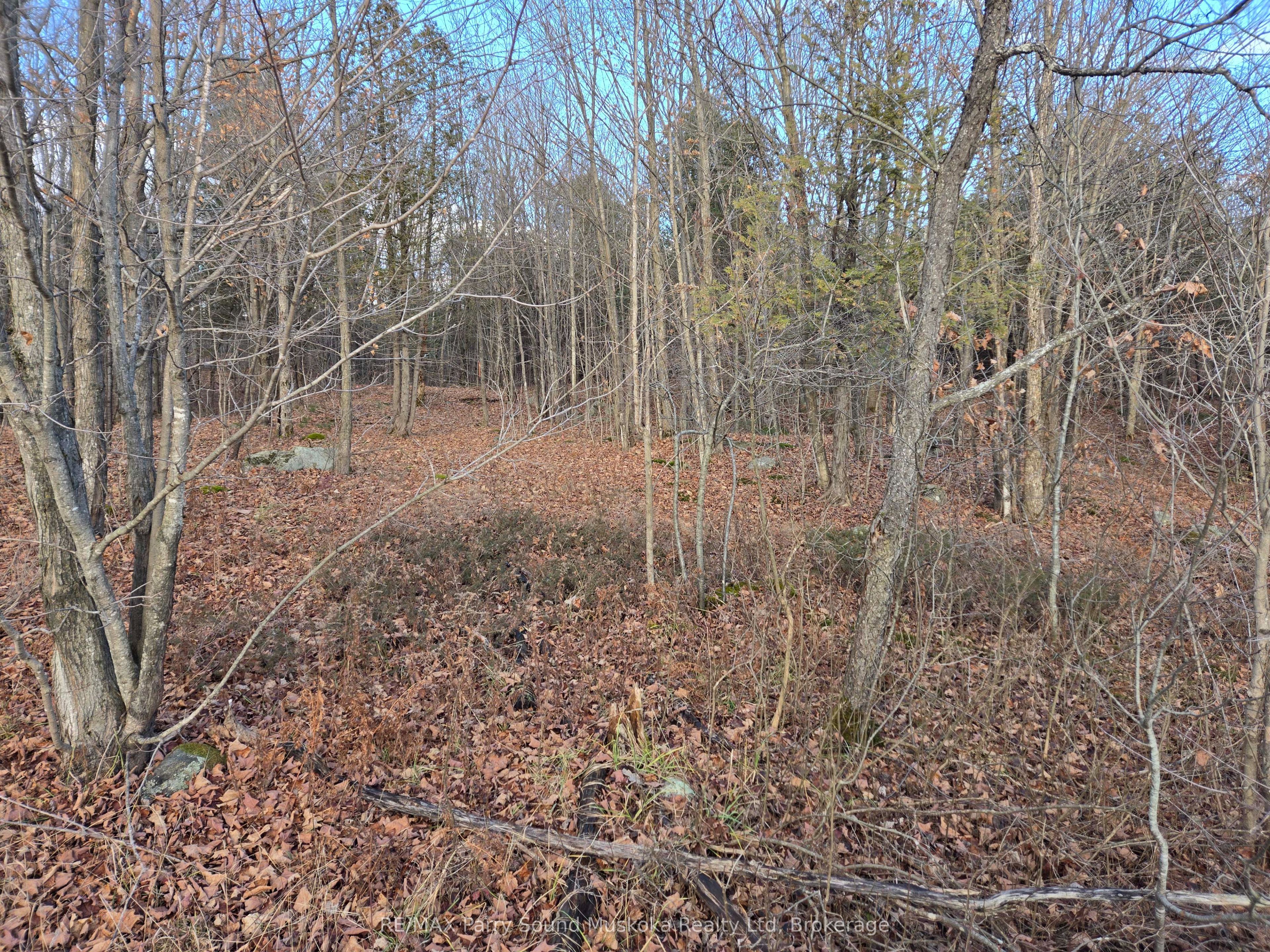 18 Turtle Ln Property Photo 4