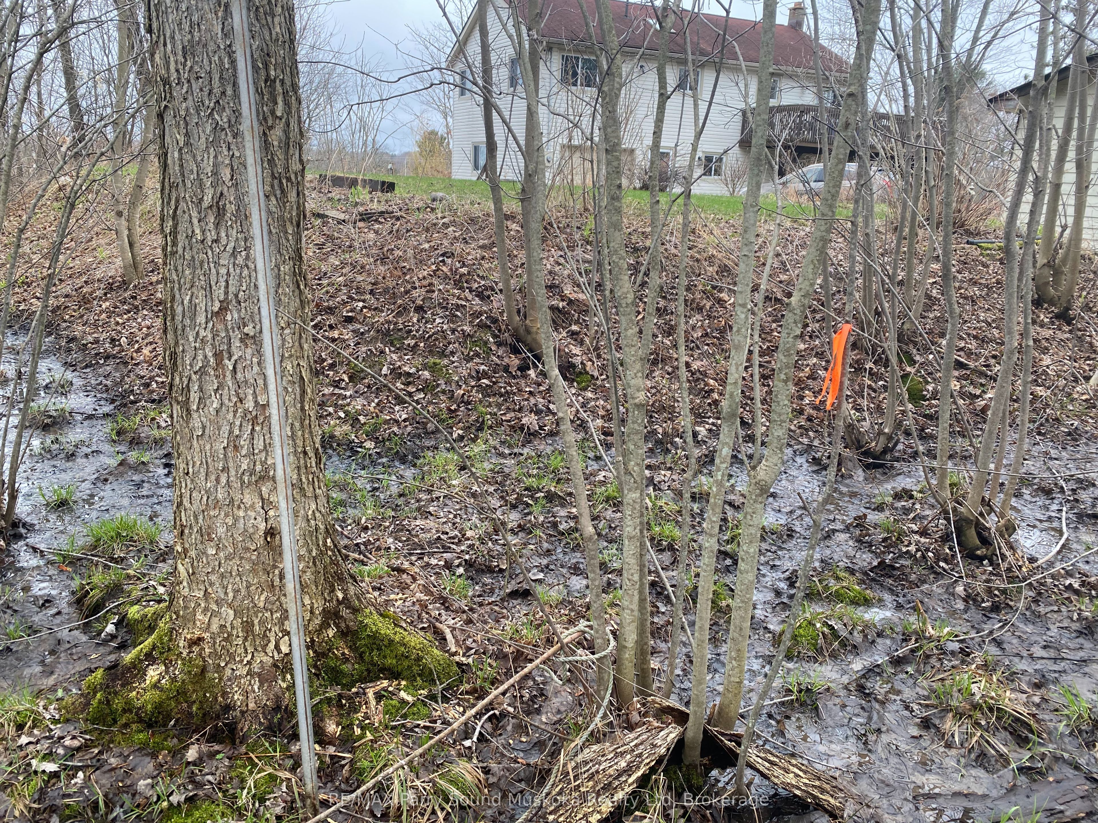 18 Turtle Ln Property Photo 14