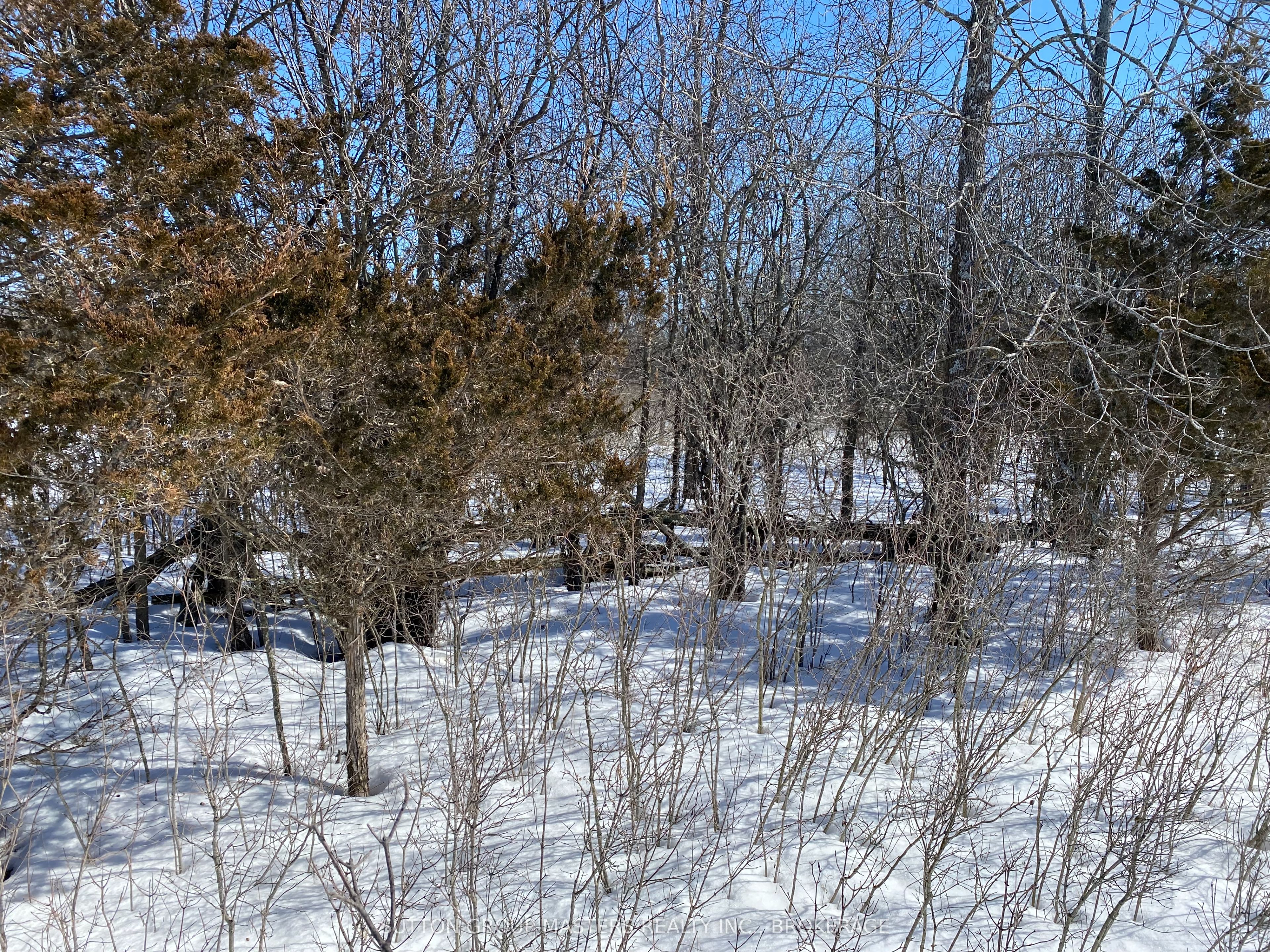 Lot A Galbraith Grove Road Property Photo 1