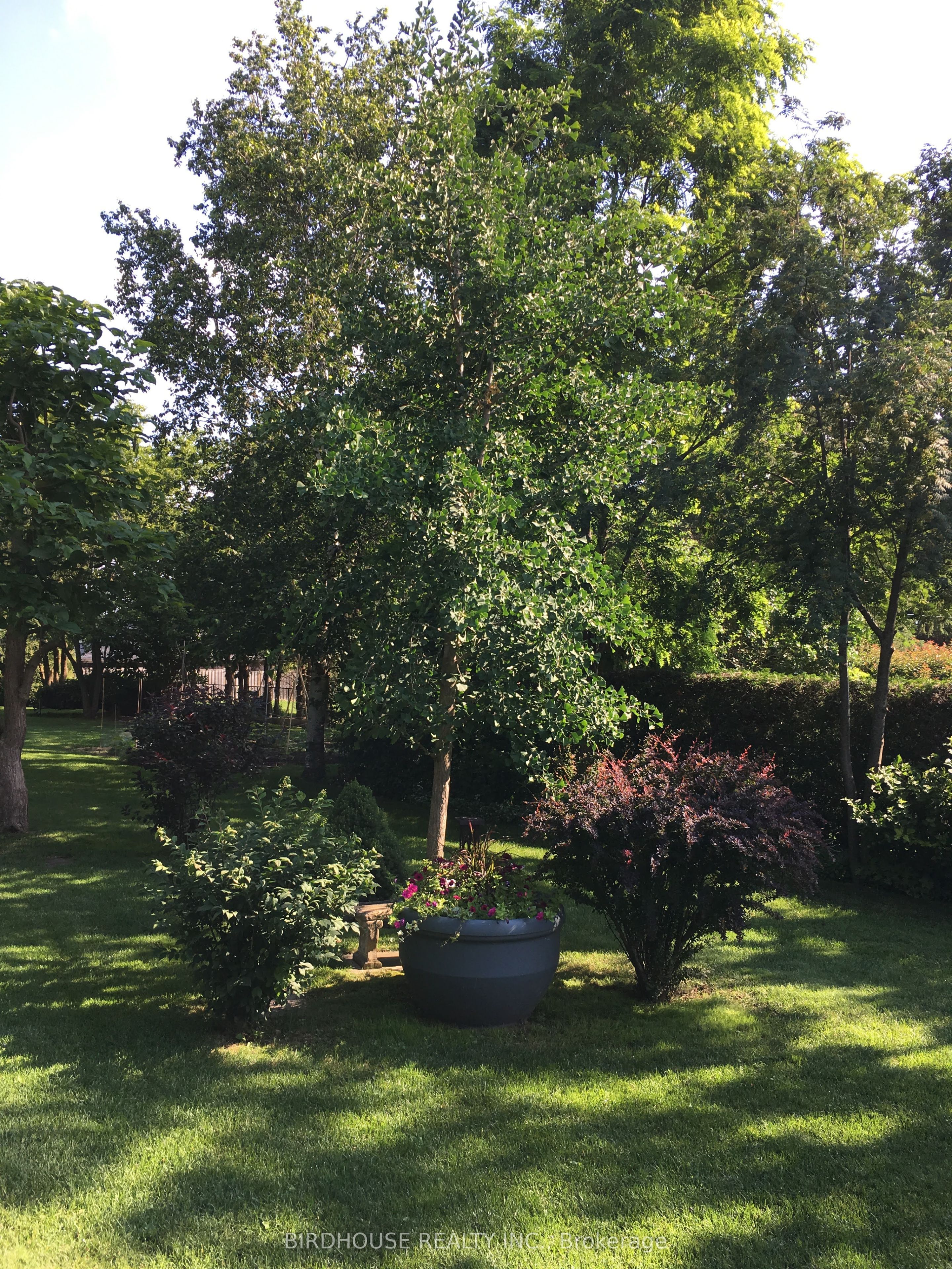 202 Mary Street Property Photo 40