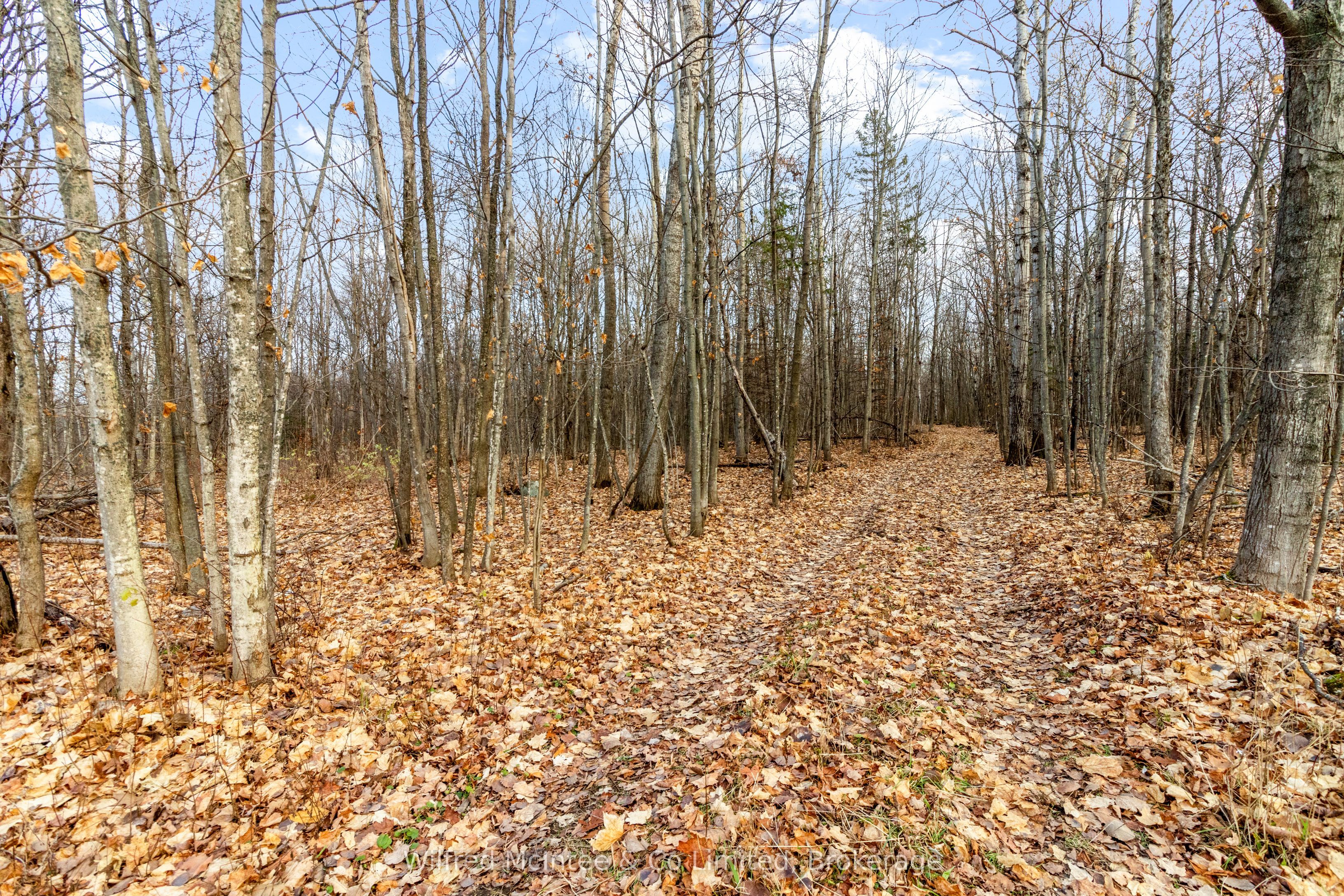 15339 6 Highway Property Photo 37