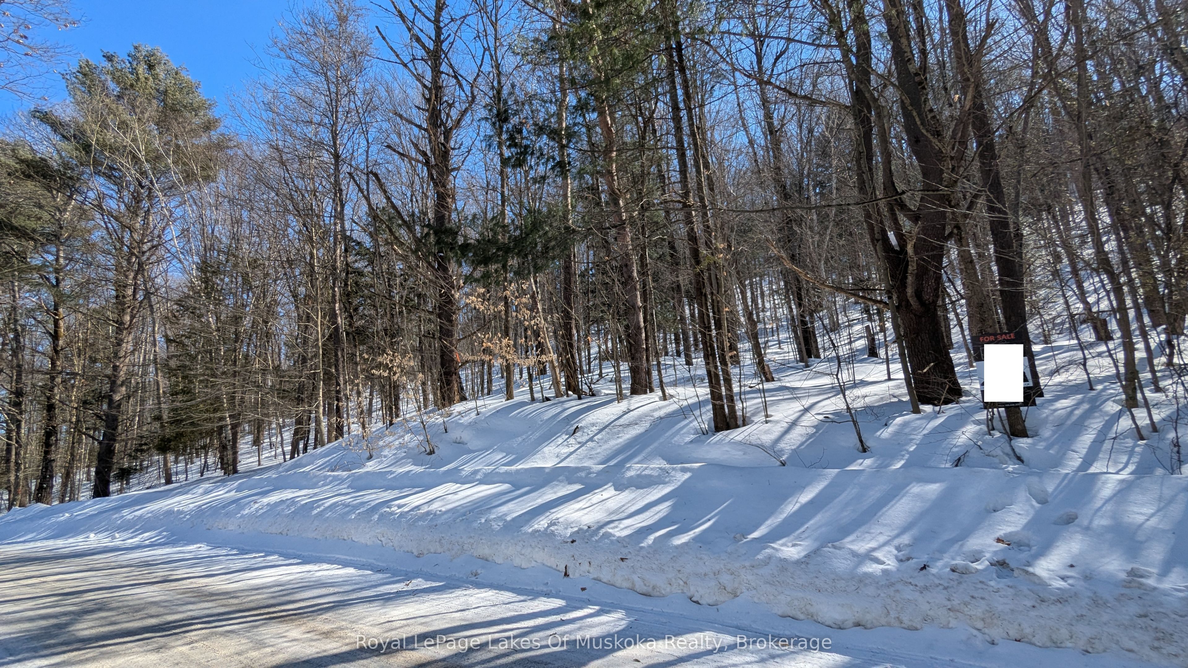 0 Rosseau Lake Rd 1 Property Photo