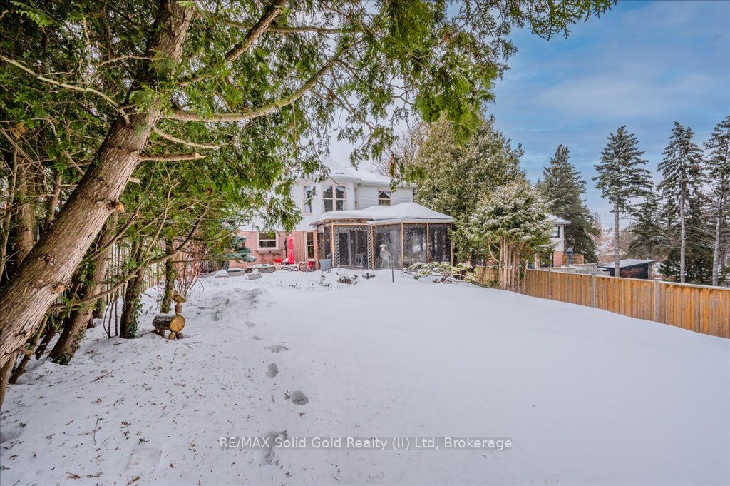 15 Trelawney Street Property Photo 41