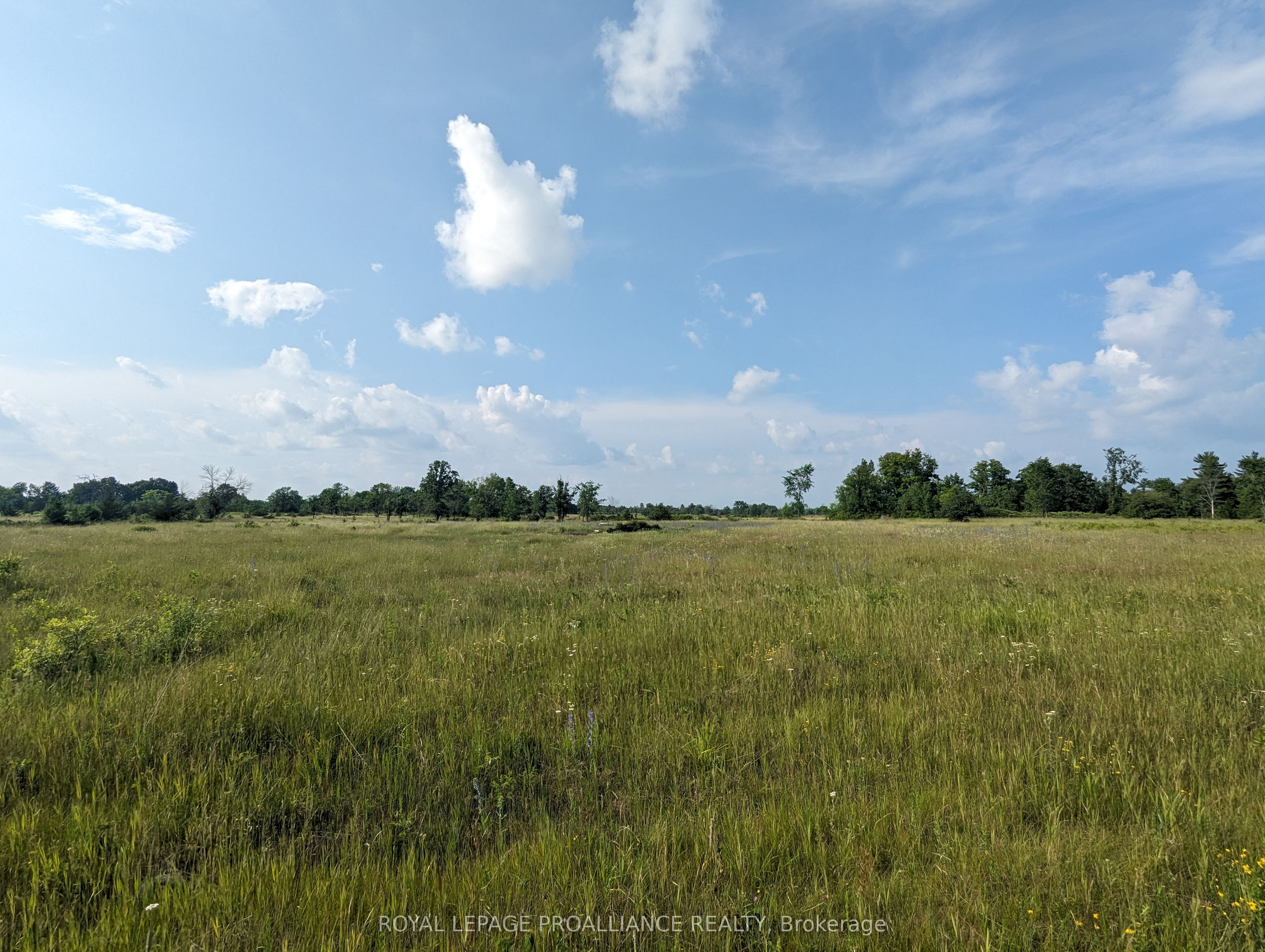 0 (b) Springbrook Road Property Photo 1