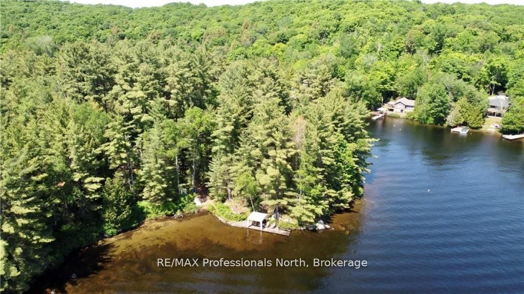 0 Bucktooth N/a Property Photo 3